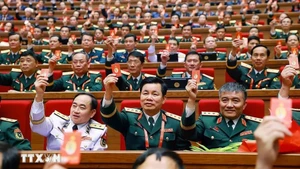 Delegates adopt the Resolution of the 14th National Party Congress (Photo: VNA)