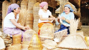 Many Khmer families have gained significant additional income from bamboo weaving, contributing to sustainable poverty reduction.