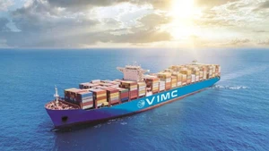 Illustrative image (Photo: VNA)