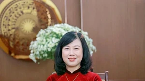 Member of the Party Central Committee and Minister of Health Dao Hong Lan (Photo: VNA)