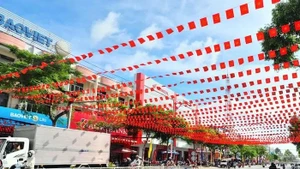 A section of Nguyen Hue Street in Cao Lanh ward, Dong Thap province decorated in celebration of the 14th National Party Congress. (Photo: dongthap.gov.vn)