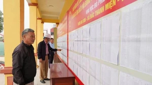 Voters review the lists of candidates and their brief biographies. (Photo: VNA)