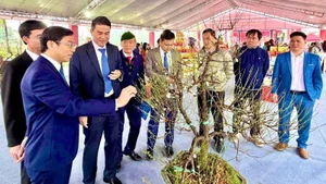 White apricot blossom from An Hoa Craft Village, Suoi Hai Commune, is introduced and promoted at the exhibition. (Photo: NDO)