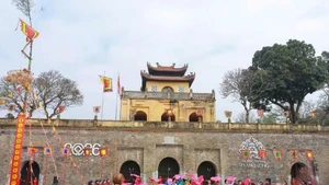 A Tet flower street is held for the first time at the Thang Long Imperial Citadel during the Lunar New Year 2026. (Photo: VNA)