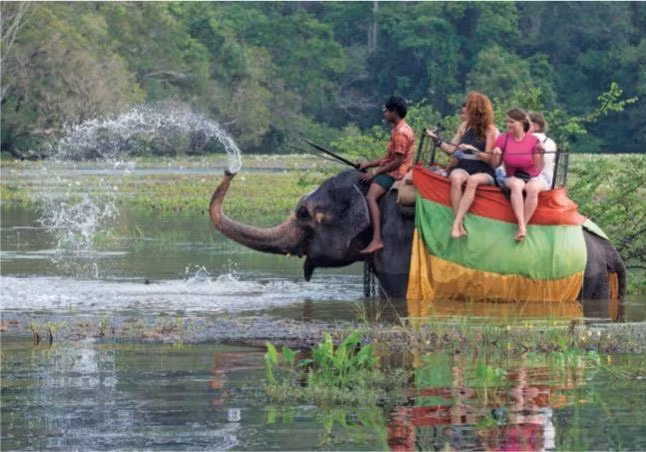 Sri Lanka's tourism earnings in the first 10 months this year surpassed 1 billion USD, according to the latest data from the country's central bank. The data showed that the monthly tourism earnings stood at 75.6 million dollars in October.