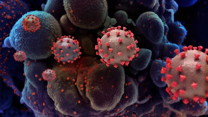 The chief of the World Health Organization (WHO) said on Wednesday he hopes that COVID-19 will no longer be a global health emergency sometime next year.