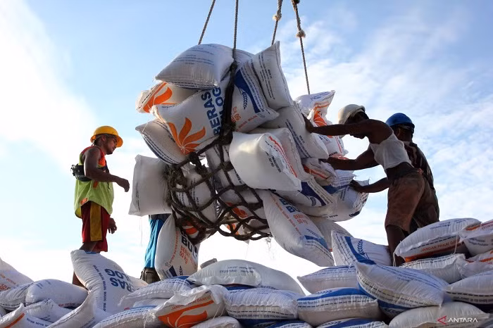 Indonesia is targeting rice production of 32 million tons next year, aiming to achieve food self-sufficiency while striving to eliminate rice imports, a minister said on Tuesday.