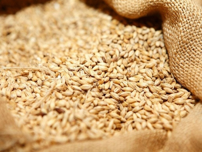 Hungary joins Poland in banning grain from Ukraine to protect local farmers