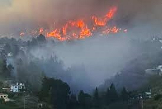 A forest fire in the Spanish island of La Palma has forced the evacuation of at least 500 people, authorities said on Saturday, in the first natural crisis on the island since a volcanic eruption on 2021.