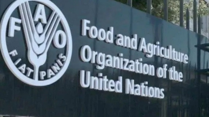 As the world grapples with food insecurity, climate change, and resource limitations, evaluating policies and programs has become critical to building resilient agrifood systems, Qu Dongyu, director-general of the UN Food and Agriculture Organization (FAO), has said at a high-level global conference in Rome.