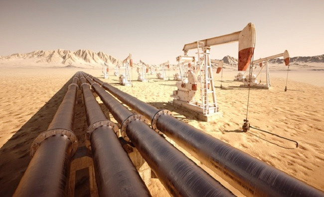 The Egyptian government on Wednesday approved five petroleum concession agreements involving state energy authorities and several international oil and gas companies, with minimum investments exceeding 221 million USD, said the cabinet in a statement.