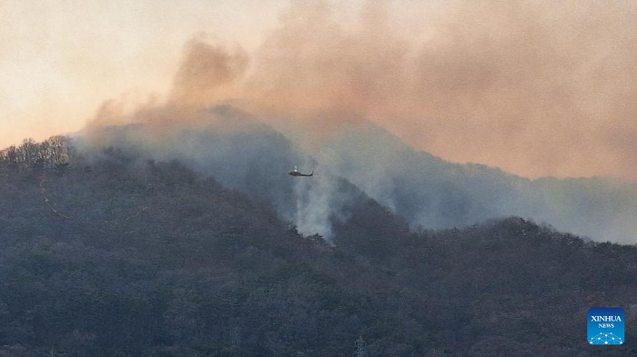 A helicopter conducts a firefighting mission in South Gyeongsang province, the Republic of Korea (RoK), March 22, 2025. The RoK government declared a state of disaster on Saturday over wildfires that broke out in the country's southeastern areas including Ulsan city, North Gyeongsang province and South Gyeongsang province, the Ministry of the Interior and Safety said. (NEWSIS via Xinhua)