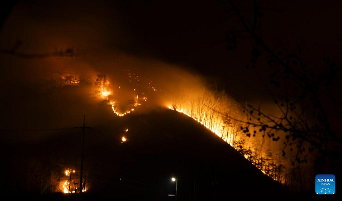 The death toll rose to 28, with 37 others injured, in the Republic of Korea's worst-ever wildfires, government compilation showed Friday. Since March 21, infernos had broken out in 11 areas, mostly in the southeastern Gyeongsang province, and five of them were completely extinguished, according to the central disaster and safety countermeasures headquarters. (Photo: Xinhua)