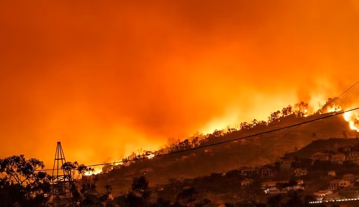 Croatia experienced a 21 percent increase in wildfires last year compared to 2023, the Croatian Firefighting Association reported on Friday. A total of 6,650 fires were recorded in 2024, including 3,825 vegetation fires.