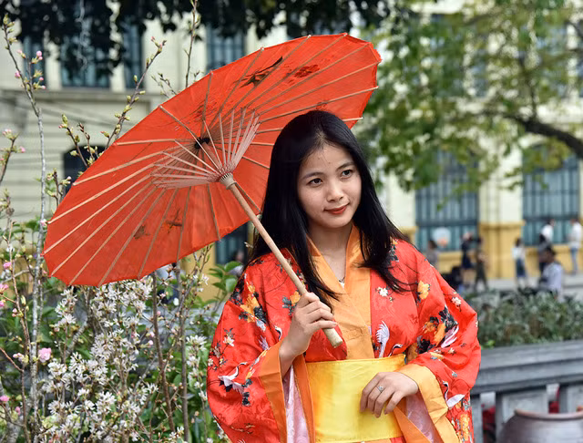 2019 Japanese cherry blossom festival opens in Hanoi ảnh 6