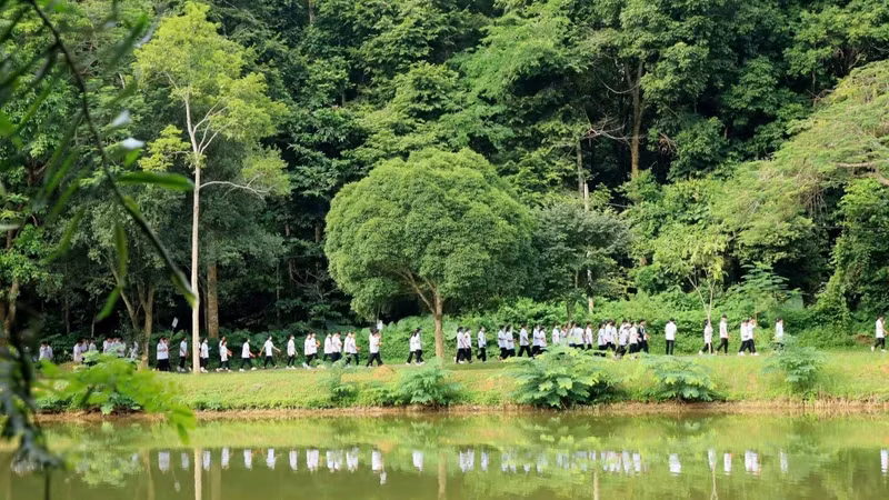 Cuc Phuong is the first National Park in Vietnam with the main tasks of conserving natural resources and cultural, historical and landscape values.