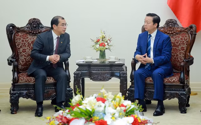 Deputy Prime Minister Tran Hong Ha (R) and General Director of the China Energy International Group Co. Ltd. Qiao Xubin at their meeting in Hanoi on March 28.(Photo: VNA)