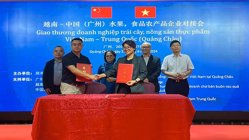 Betrimex and Jiangnan Market Imported Fruit Chamber of Commerce sign the MoU.