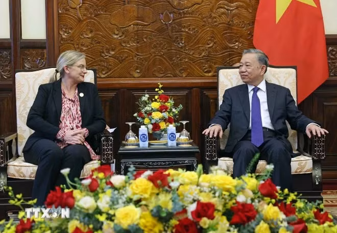 President To Lam (right) and Swedish Ambassador to Vietnam Ann Mawe. (Photo: VNA)
