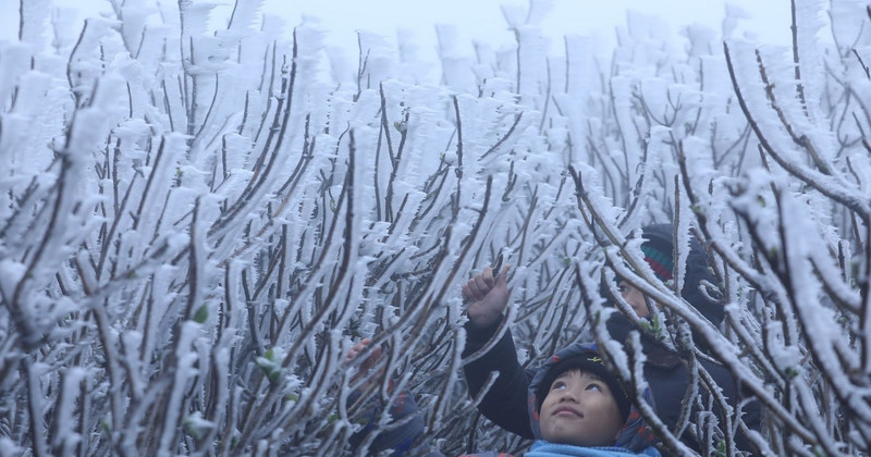 Visitors are excited at the icy sight at the top of Mau Son Mountain.