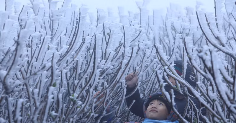 Visitors are excited at the icy sight at the top of Mau Son Mountain.