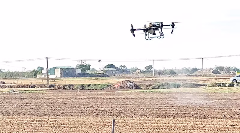 A drone used to spray pesticides in agricultural production in Hai Duong. (Photo: BAO HAN)