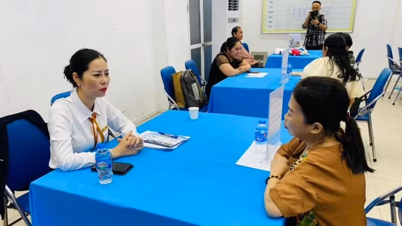 Consultancy provided for job seekers at the event.