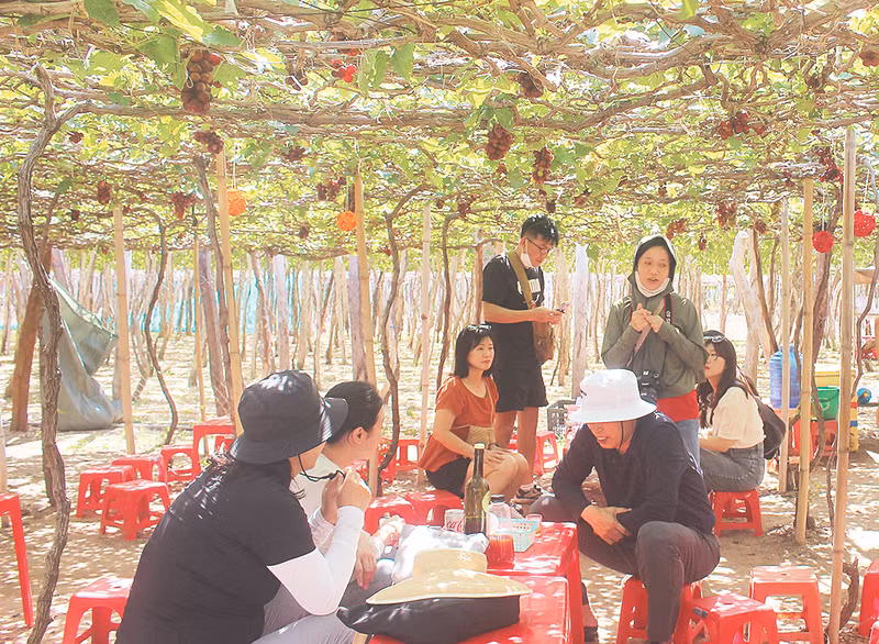 Domestic and foreign visitors to the village can learn many interesting stories about the vines and people here.