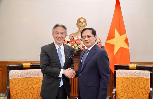 Foreign Minister Bui Thanh Son (R) and visiting Japanese Minister of Education, Culture, Sports, Science, and Technology Moriyama Masahito (Photo: VNA)