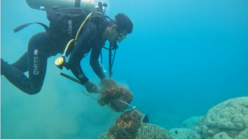 Plastic waste collection to protect the marine environment