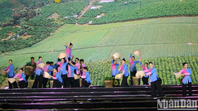 The chapter “Timeless Beauty” tells the story of a once-untamed land first cultivated in the 1890s