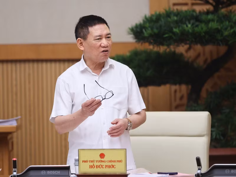 Deputy Prime Minister Ho Duc Phoc speaks at the meeting.