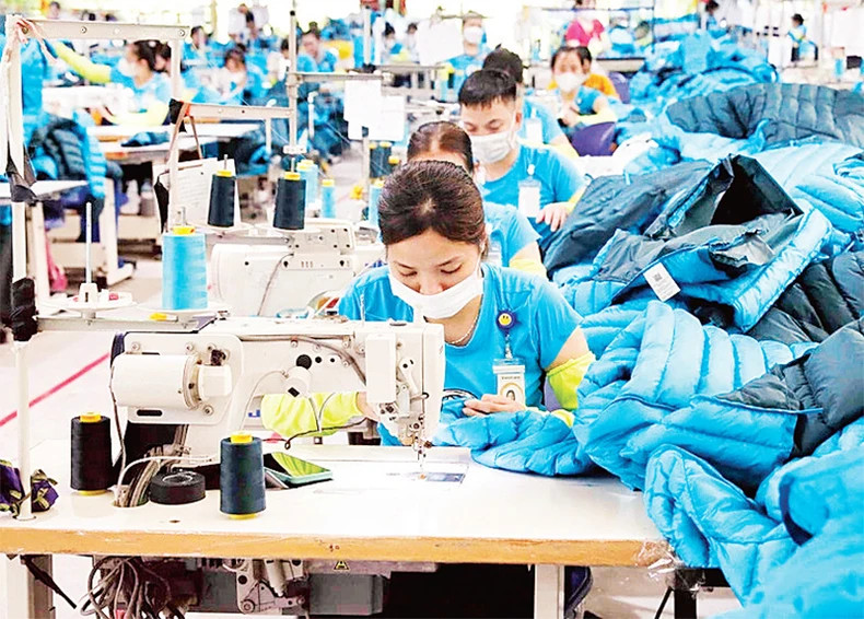 Standards on green production are a big challenge for Vietnam’s textile and garment enterprises. (Photo: VNA)