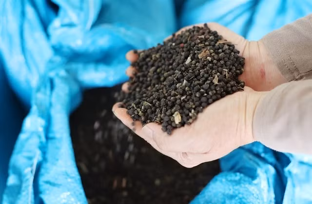 Illustrative photo (Photo: VNA)