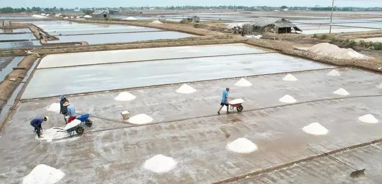 Salt fields in Long Dien Dong Commune, Dong Hai District, Bac Lieu Province. (Photo: VNA)