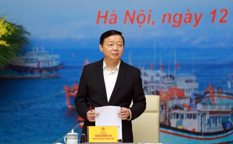 Deputy Prime Minister Tran Hong Ha (Photo: VGP)