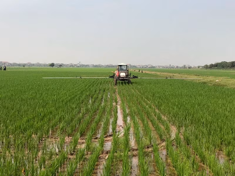 Mechanisation in rice production in Thai Binh Province. (Illustrative image)
