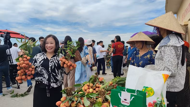 Tourists experience harvesting and tasting lychee in Thanh Son Commune, Thanh Ha District.