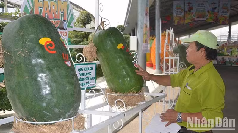The Southern Fruit Festival introduces many unique fruits.