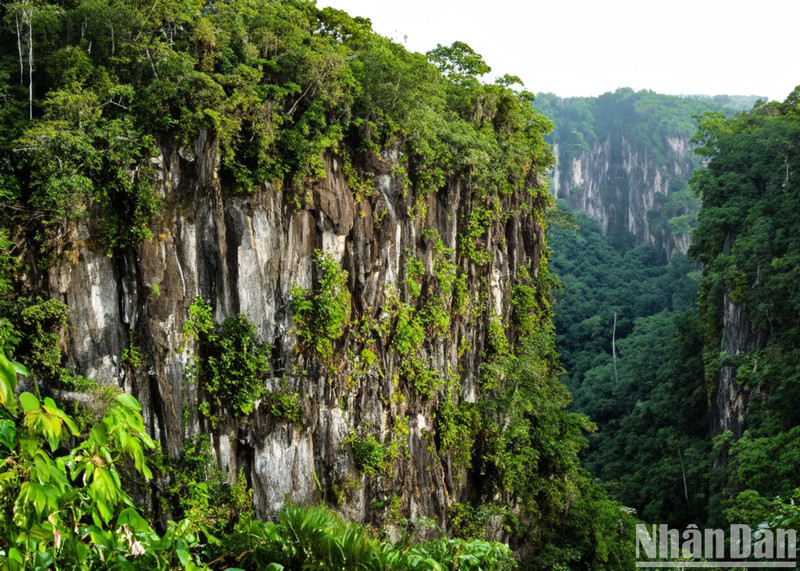 Cuc Phuong National Park