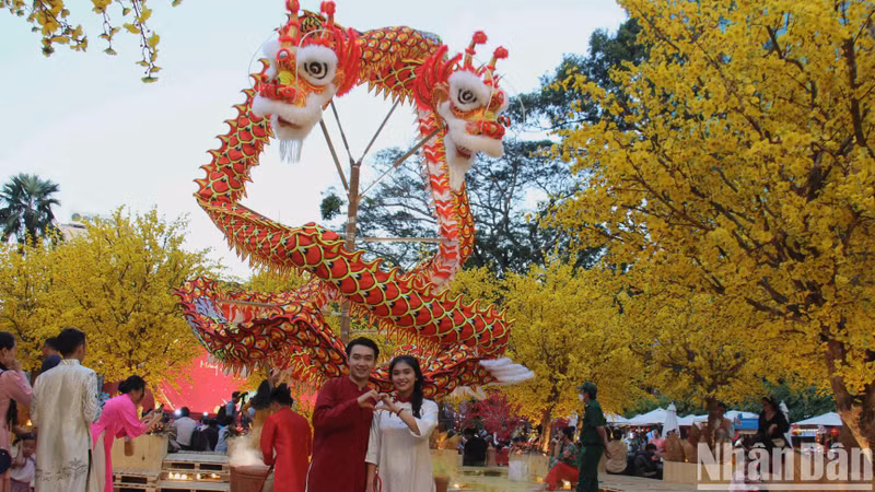 [Photo] Yellow apricot blossom at Vietnamese Tet Festival 2024