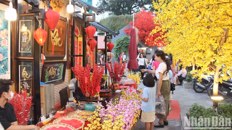 Young people "check-in" at the yellow apricot blossom road on Pham Ngoc Thach Street.