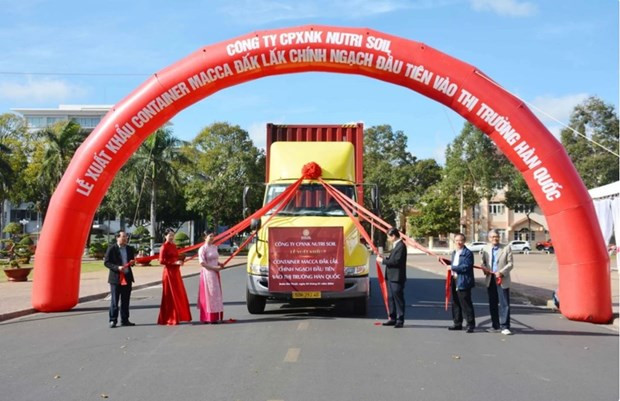 Nutri Soil JSC holds a ceremony in Buon Ma Thuot city in Dak Lak province on January 3 to send the first container of macadamia to the Republic of Korea (RoK) in 2024. (Photo: VNA)