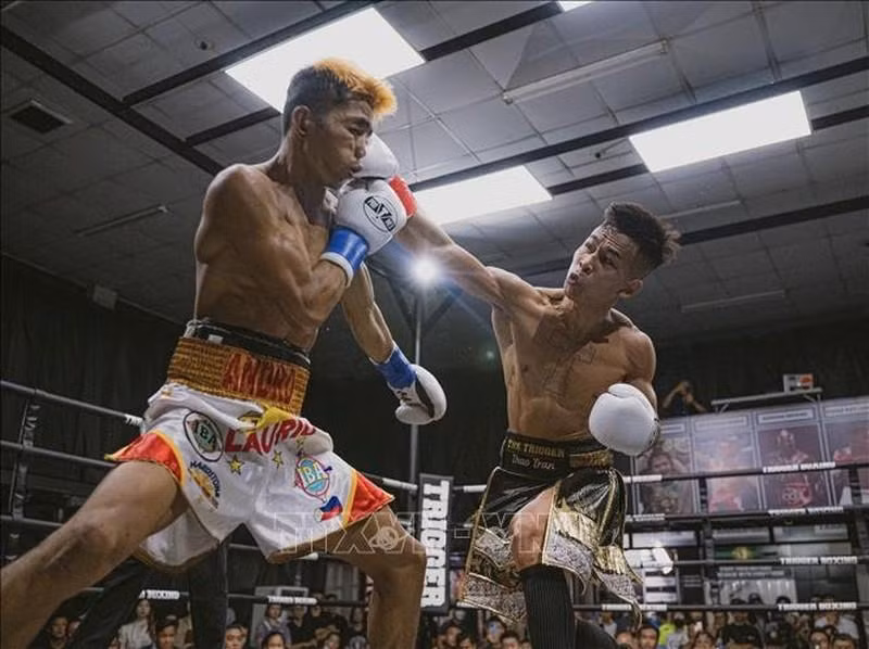 Boxer Tran Van Thao (R) competes with boxer Prince Andrew Lario from the Philippines. (Photo: VNA)