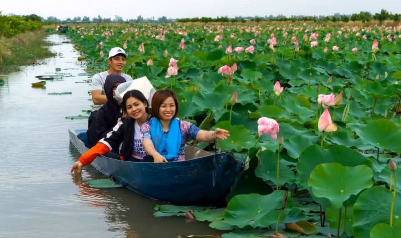 Dong Thap develops lotus-related tourism products (Photo: Nguyen Toan)