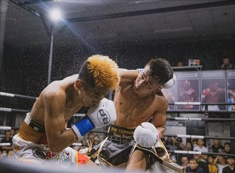 The decisive knockout punch was delivered by boxer Tran Van Thao. (Photo: VNA)