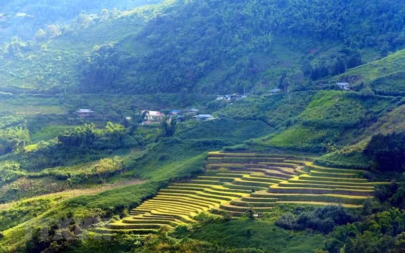 Rice-terraced fields immersed in the autumn sunlight.