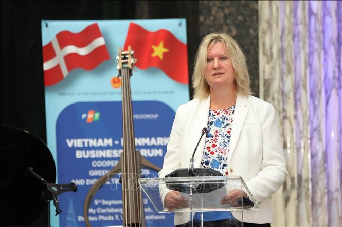 Danish State Secretary for Trade and Global Sustainability Lina Hansen (Photo: VNA)