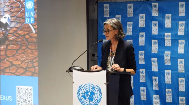 UNDP Resident Representative in Vietnam Ramla Khalidi speaks at the event. (Photo: UNDP)