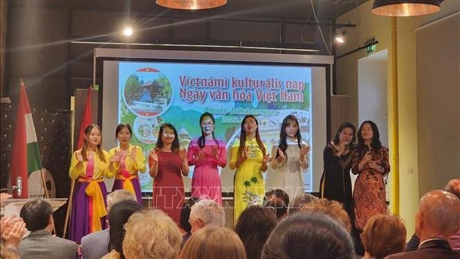 A music performance at the event (Photo: VNA)